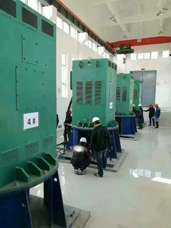 连江某污水处理厂使用我厂的立式高压电机安装现场